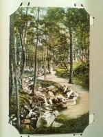 BE_Place_1900-1949_Spa forest.jpg