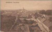 BE_Place_1900-1961_BONSECOURS Vue generale.jpg