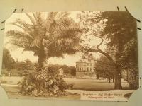 DE_Place_1900-1949_Dresden - Großer Garten, Konigspalast.jpg